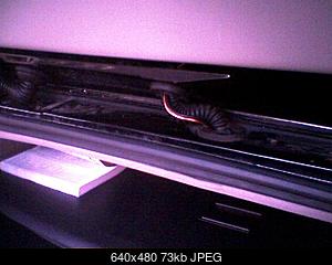     
: 81981614.jpg
: 3881
:	73.0 
ID:	5617