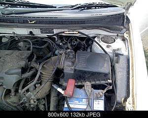     
: IMG562.jpg
: 16306
:	132.3 
ID:	8084