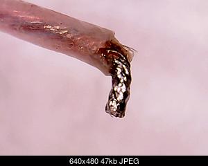 Нажмите на изображение для увеличения
Название: SnapShot7_0011.jpg
Просмотров: 1426
Размер:	46.7 Кб
ID:	51856