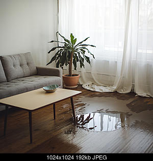 Нажмите на изображение для увеличения
Название: протечка.jpg
Просмотров: 421
Размер: 191.8 Кб
ID: 53116